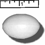 High Density Smoothfoam 2" diam x 1 3/6" H ROUND OVAL -CASE OF 1000 pcs