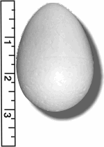 High Density Smoothfoam 2 1/8" Diam. x 3" H  Egg - 6 pack