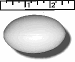 High Density Smoothfoam 2 1/2" diam x 1 1/2" H ROUND OVAL -CASE OF 1000 pcs
